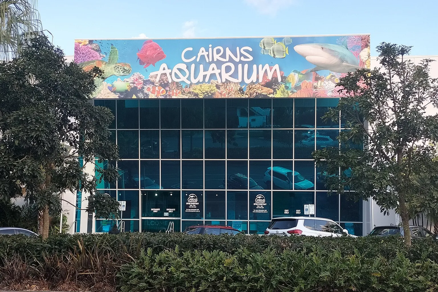 ケアンズ水族館チケットの事前予約と当日券の選択:ジャズアドリブの準備と即興のバランス