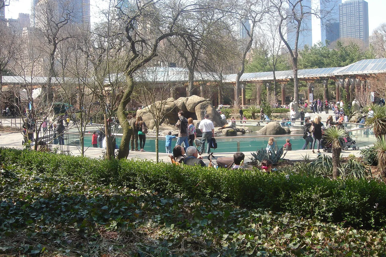 セントラルパーク動物園 チケットの購入システムとピアノ練習における指の独立性を高める神経回路の構築